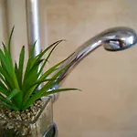 Dream Flat Appartement Santa Cruz de Tenerife